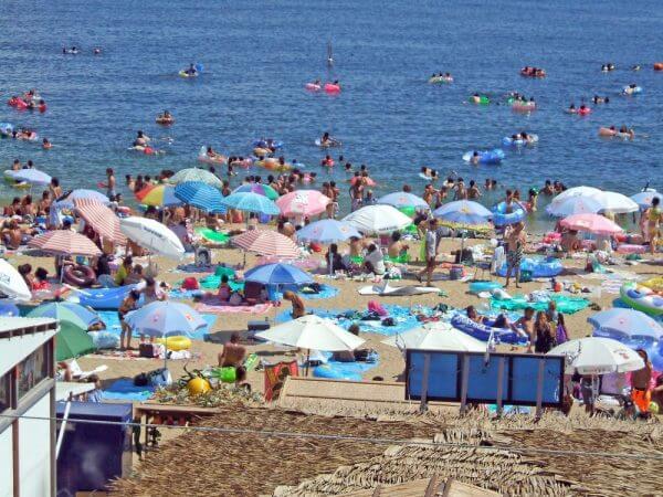 キャッチ画像306125