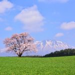 【2025年最新版】秋田の出会いの場おすすめ13選|クラブ、バー、ナンパスポットから婚活サービスまで徹底紹介!サムネイル