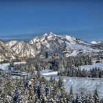 【2025年最新版】新潟の出会いの場おすすめ13選|BAR、相席居酒屋、クラブ、出会い系まで恋のスポット徹底紹介サムネイル