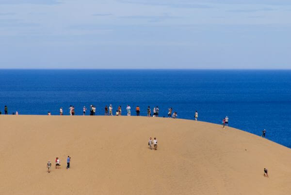 キャッチ画像622311