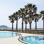 【2025年最新版】千葉で男女の出会いの場おすすめ34選|バー、居酒屋、ナンパ、マッチングアプリを徹底紹介!サムネイル