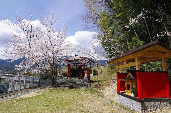 キャッチ画像48452