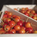 【2025年最新版】山形で出会いの場おすすめ14選|バー、クラブ、イベント、ナンパスポットまで厳選紹介!サムネイル