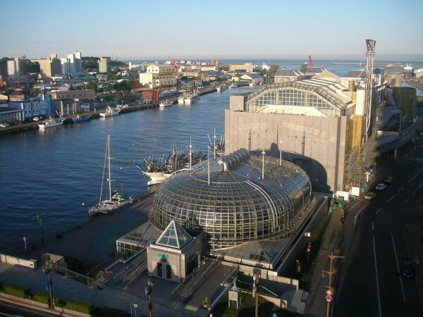 キャッチ画像572822