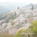 【2025年最新版】奈良の出会いの場おすすめ13選|BAR、ダイニング、立ち飲み屋、ナンパ、出会い系まで恋のスポットを厳選紹介!サムネイル