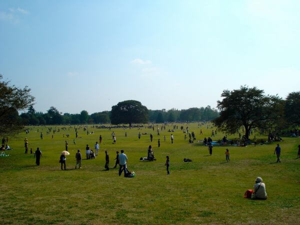 キャッチ画像661621