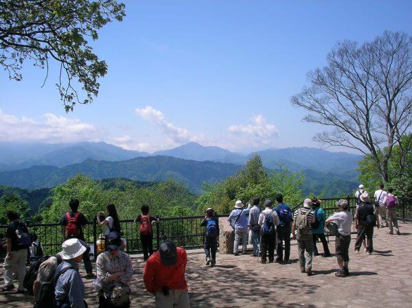 キャッチ画像77581