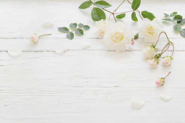 キャッチ画像1680123