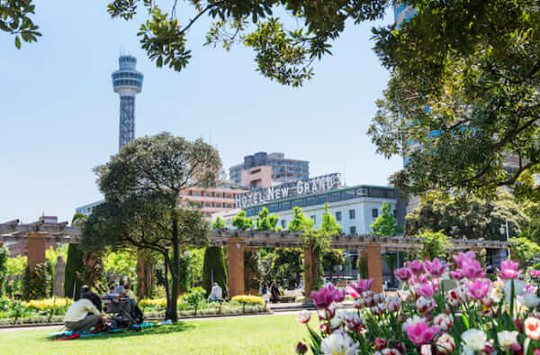 キャッチ画像147423