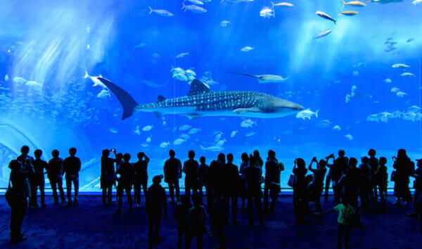 キャッチ画像3332419