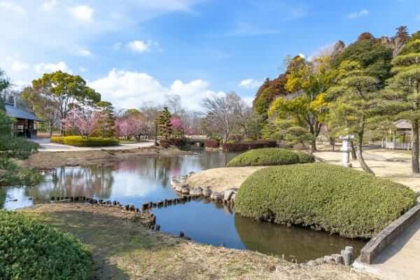 キャッチ画像147211