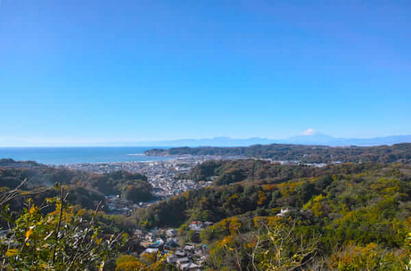 キャッチ画像1474011