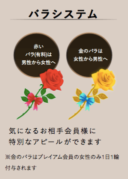 キャッチ画像4698828