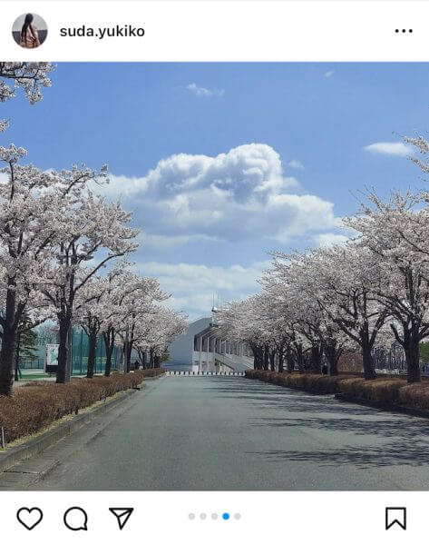 キャッチ画像1901419