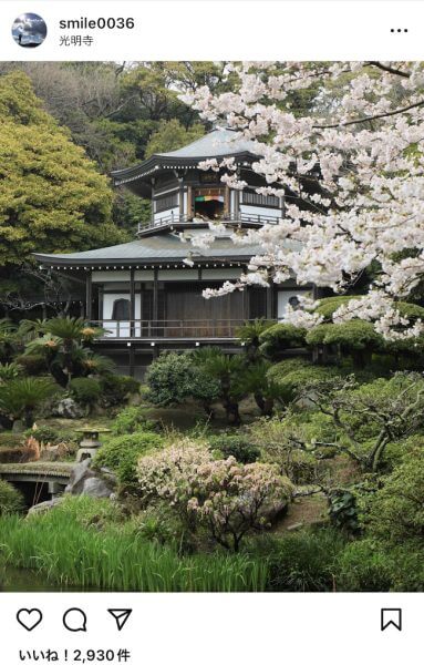 キャッチ画像147409