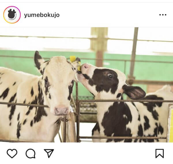 キャッチ画像875521