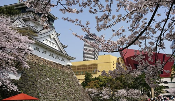 キャッチ画像626221