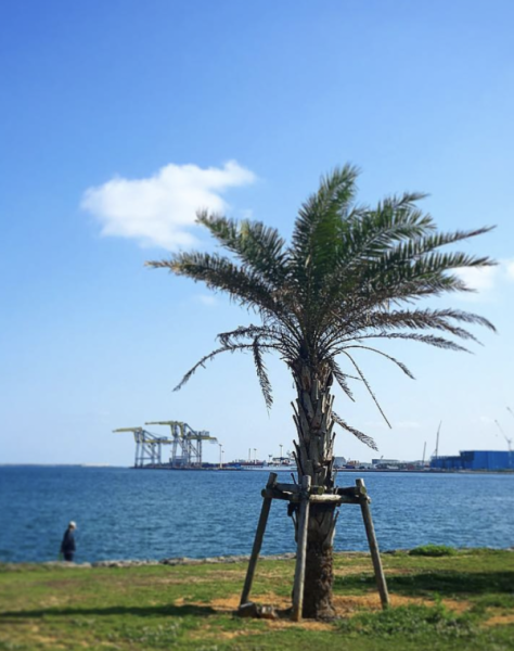 キャッチ画像417030