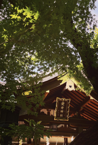 キャッチ画像281723