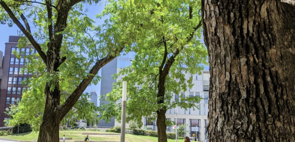 キャッチ画像281725