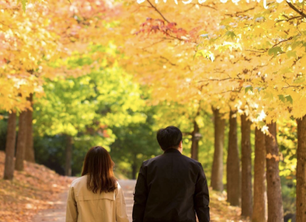 キャッチ画像281724