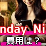 SundayNine (サンデーナイン) 費用が魅力!毎月4名とAIで出会える新感覚婚活アプリサムネイル